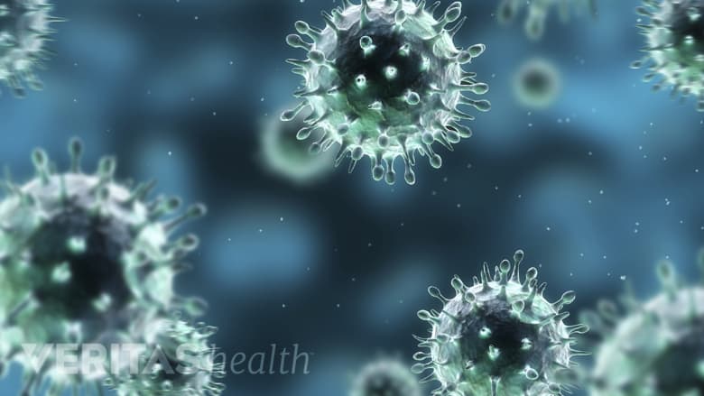 An image showing microscopic view of bacteria.