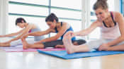Yoga class participants doing a forward bend.
