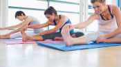 Yoga class participants doing a forward bend.