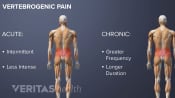 Symptoms of Vertebrogenic Low Back Pain