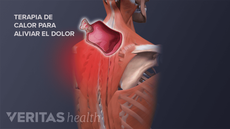 Músculos de la espalda con una compresa caliente cerca del cuello.