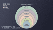 A diagram explaining the chronic pain model