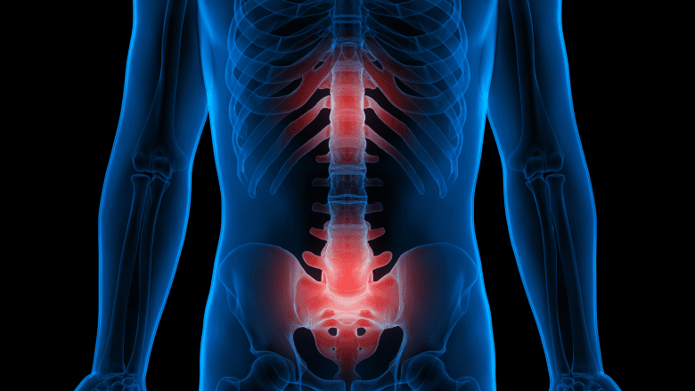 An illustration of a adult spine with red highlights.