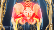 Highlighting the pain area of piriformis syndrome in the lower back, buttocks and hip area