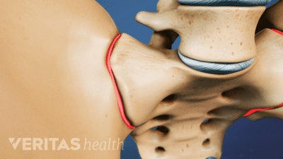 Medical illustration close up view of the sacroiliac joint