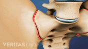 Medical illustration close up view of the sacroiliac joint