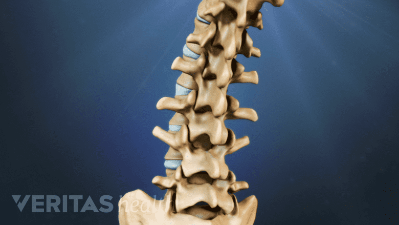 Illustration showing vertebral spine.